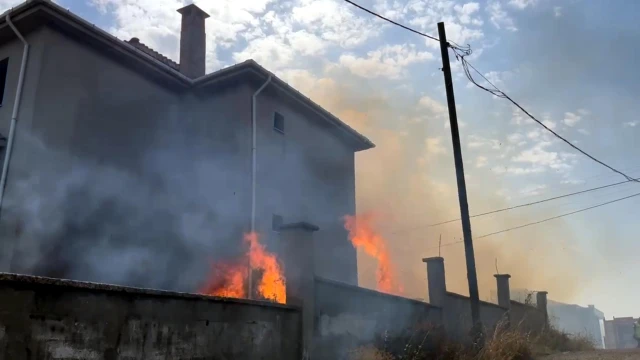 Tekirdağ'da ot yangınında alevler evlere sıçradı