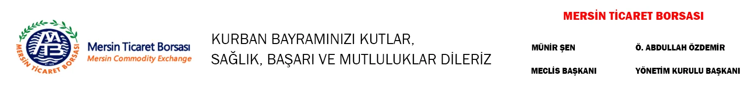 borsaaa