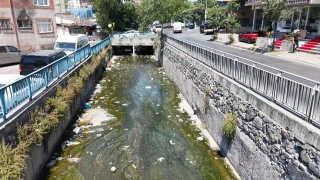 Galata Deresi çöple doldu, mahalleli tepki gösterdi