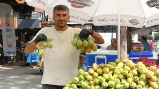 Mersin'de doğada kendiliğinden yetişen dikenli incir seyyar tezgahlarda